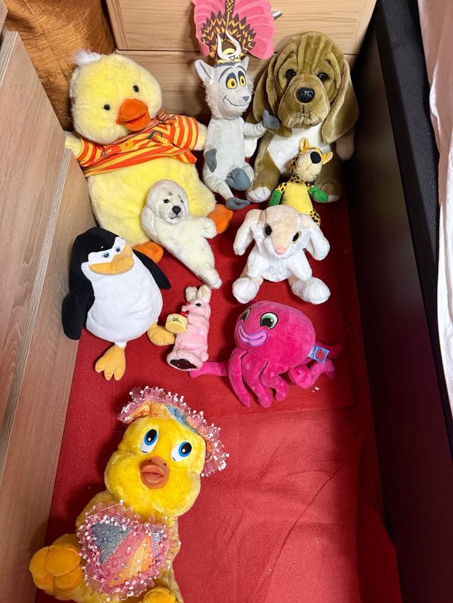 Lote di peluches vari