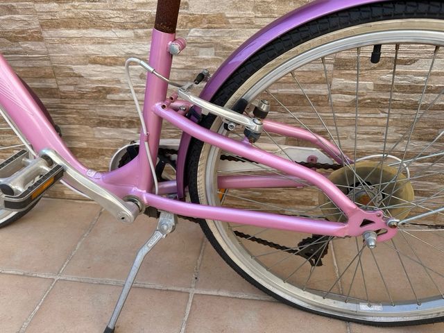 Bicicleta Paseo Monty Rosa