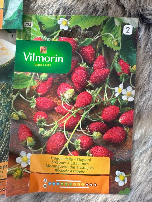 Semi Vilmorin: Fragole, Pomodoro e Zucchinella