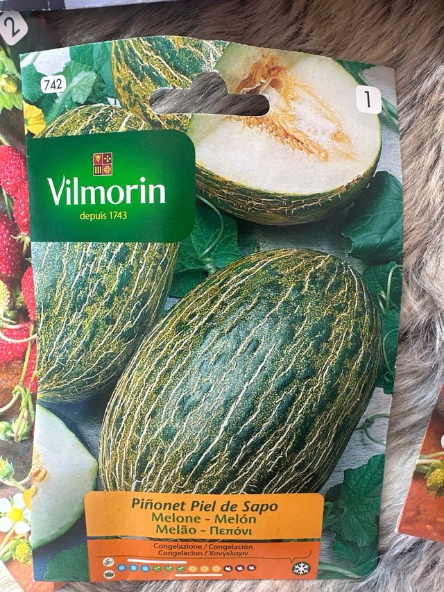 Semi Vilmorin: Fragole, Pomodoro e Zucchinella