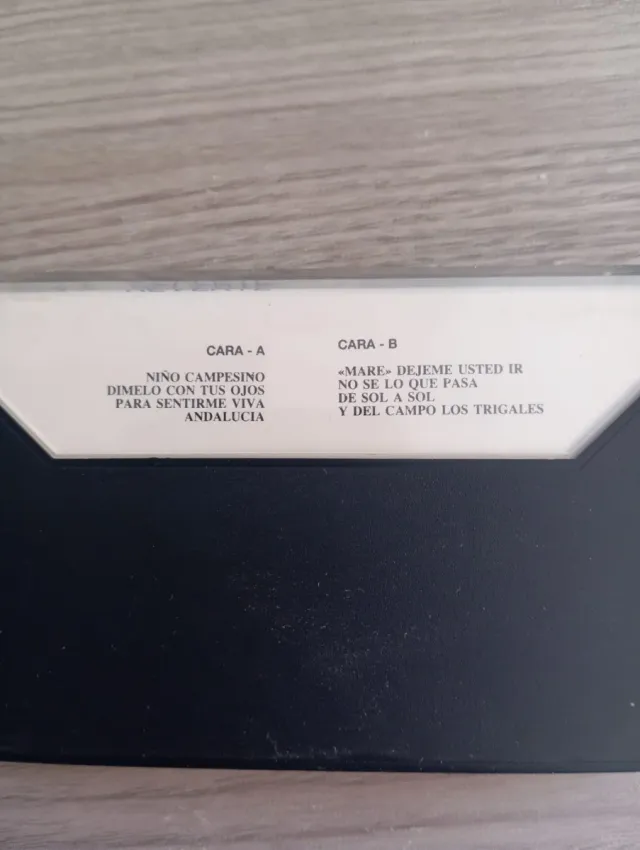 Lotes de Cassettes Ana Reverte