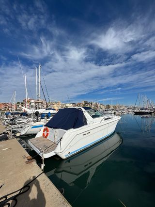 Barco Sea Ray 37 Sundancer