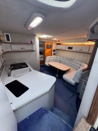 Barco Sea Ray 37 Sundancer