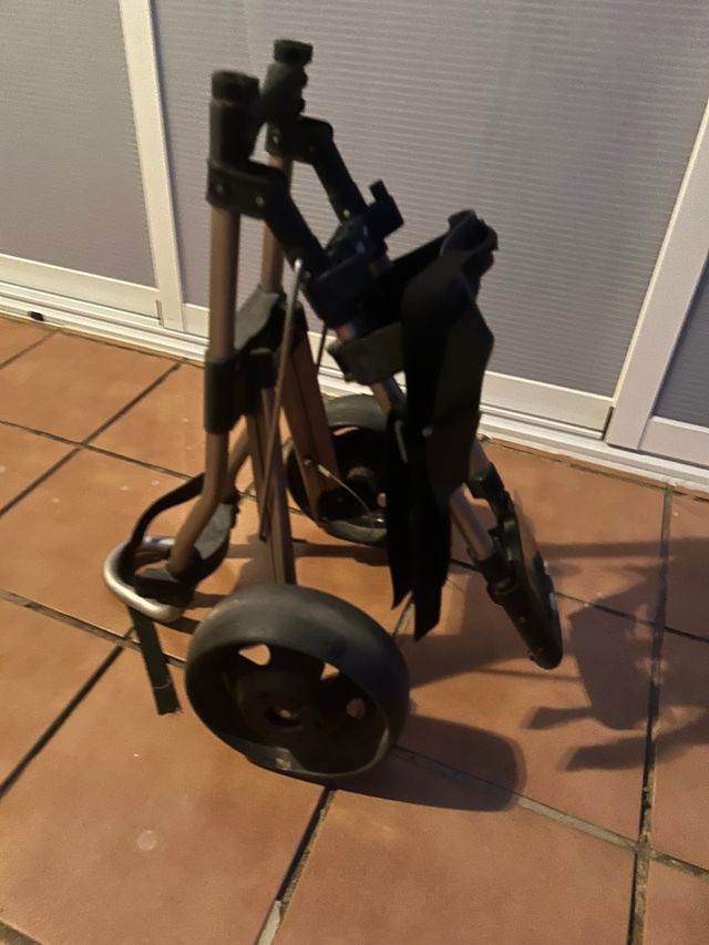 Carros de golf (2 unidades)