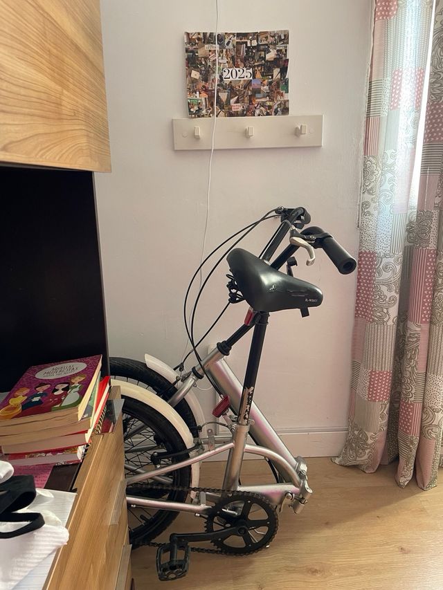 Bicicleta Plegable Plata