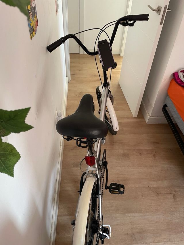 Bicicleta Plegable Plata