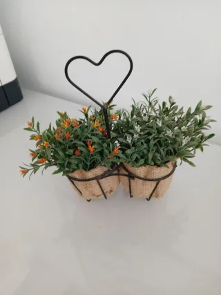 Piantine decorative con cuore