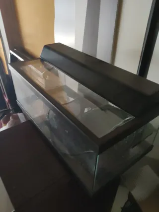 Terrario con luz solar