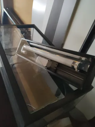 Terrario con luz solar