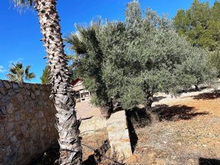 Chalet en venta en Bullas