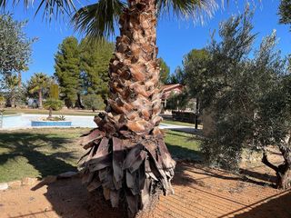 Chalet en venta en Bullas