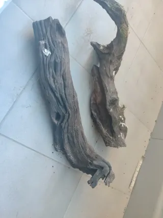 Acuario 30 litros