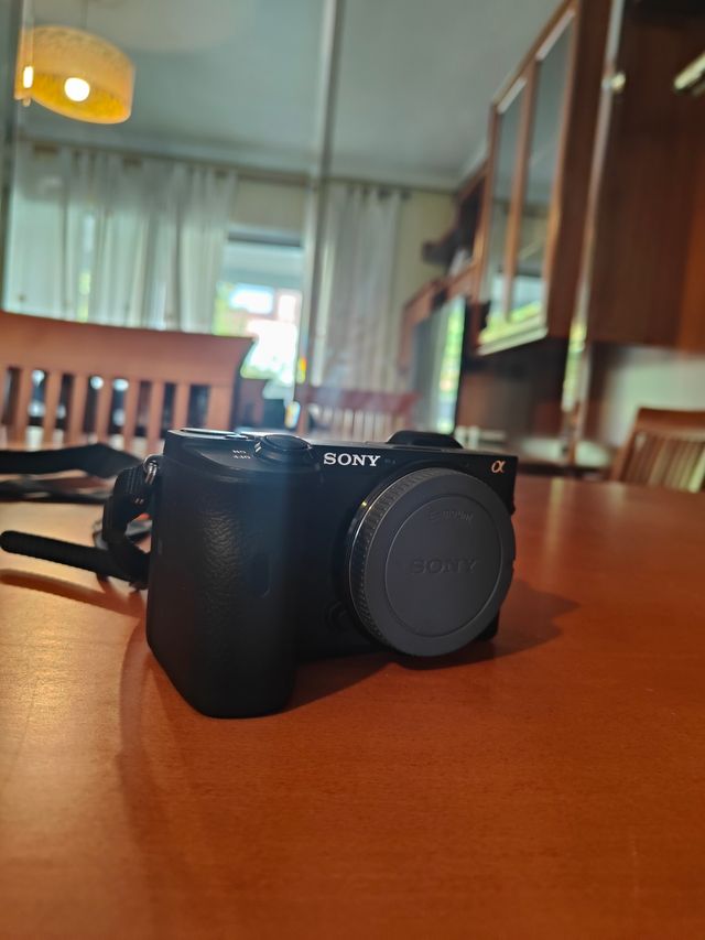 Sony a6600 Cámara Mirrorless
