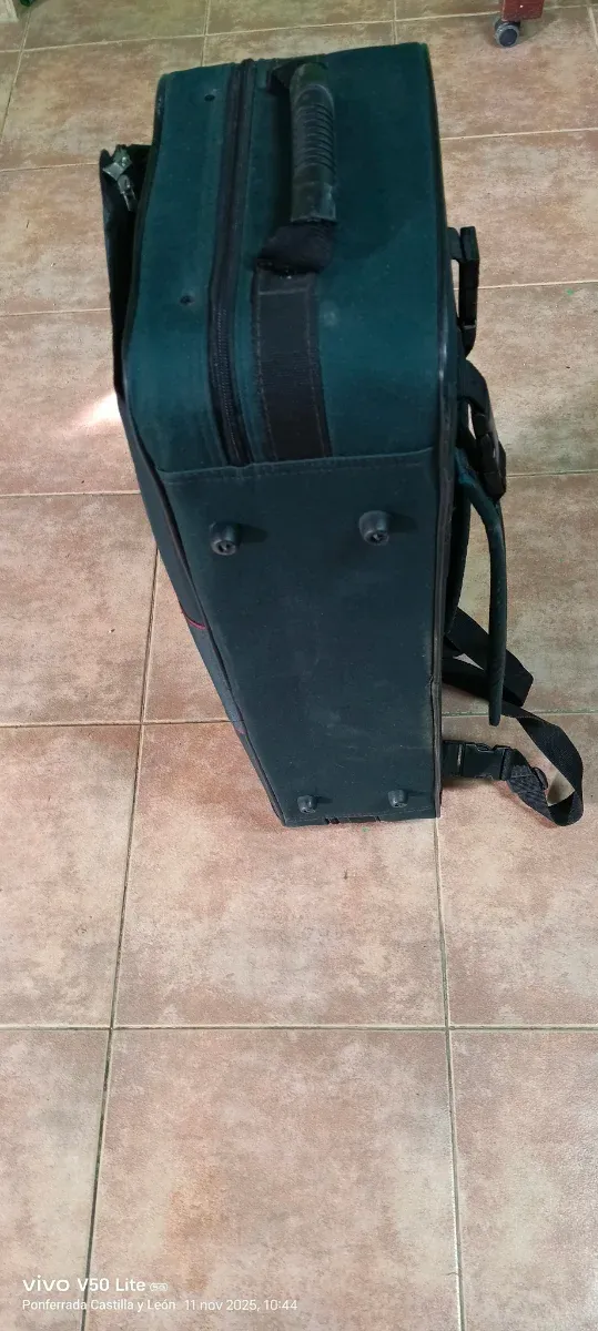 Funda para saxo alto