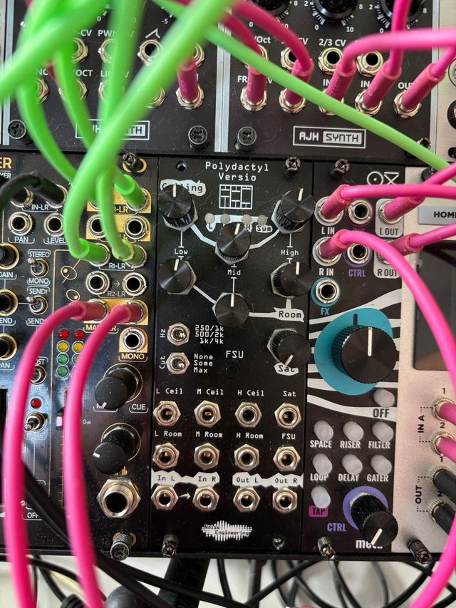 Módulo Eurorack Noise Engineering Polydactyl Versi