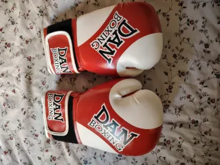 Guantes de Boxeo / Krav Maga DAN BOXING