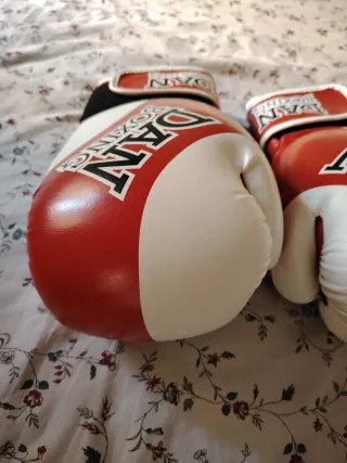 Guantes de Boxeo / Krav Maga DAN BOXING