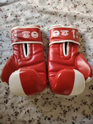 Guantes de Boxeo / Krav Maga DAN BOXING