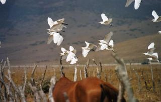 Canon EOS 350D + Objetivo 18-55mm