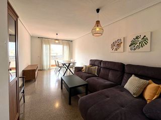 Piso en alquiler en Alcalde Felipe Mallol en San Vicente del Raspeig/Sant Vicent del Raspeig