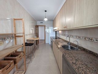 Piso en alquiler en Alcalde Felipe Mallol en San Vicente del Raspeig/Sant Vicent del Raspeig