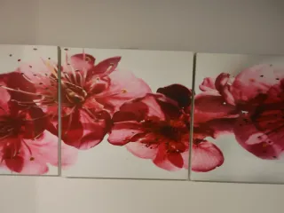 Cuadros flores rosas y blancas