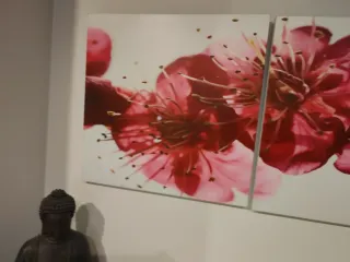 Cuadros flores rosas y blancas