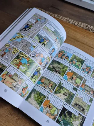 Tintin y los pícaros, Archivos tintin, neerlandes.