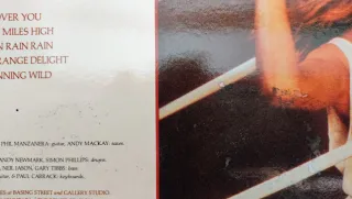 Vinilo Roxy Music - Flesh + Blood.