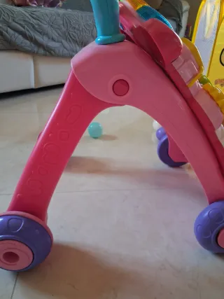 Carrellino primi passi Vtech