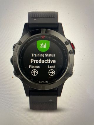 Garmin Fénix 5