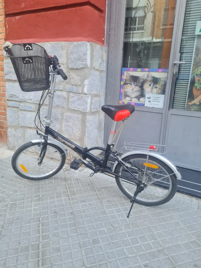 Bicicleta plegable