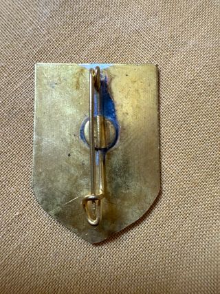 Pin Valle de Arán Esquí