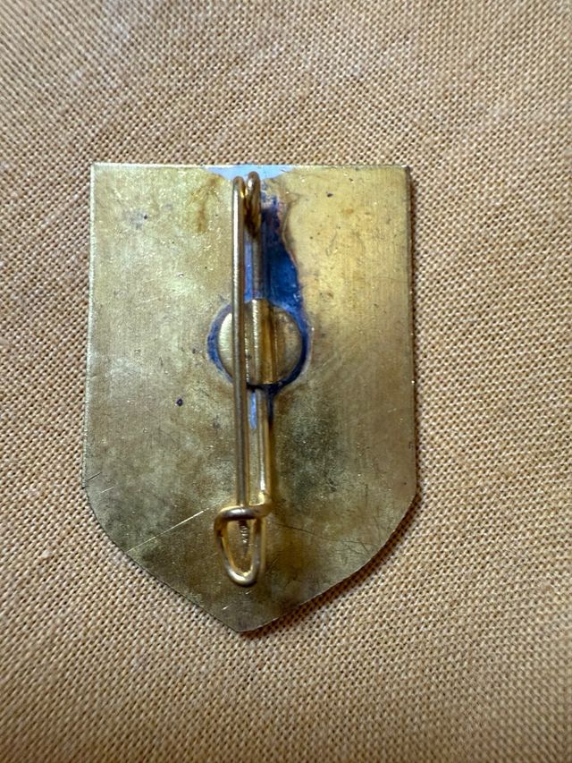 Pin Valle de Arán Esquí