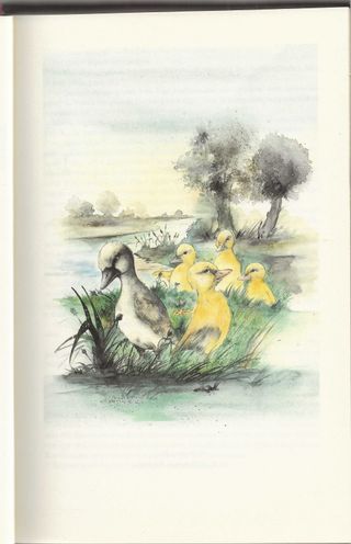 Contos de Encantar: De Animais Bons e Maus