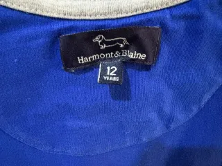 Tshirt blu Harmont&Blain 12 anni