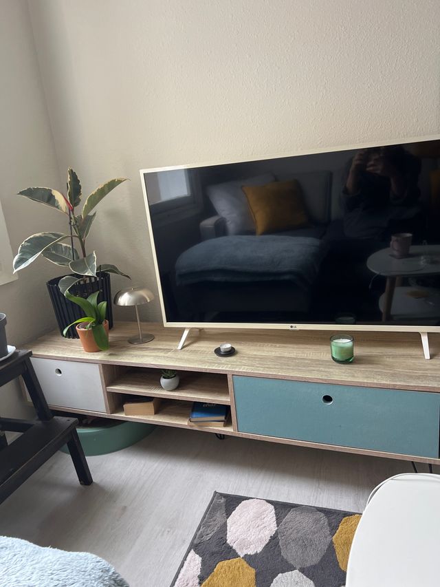 Mueble TV bajo con 2 cajones