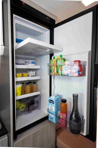 Rollerteam Livingstone 5 SPORT 2024