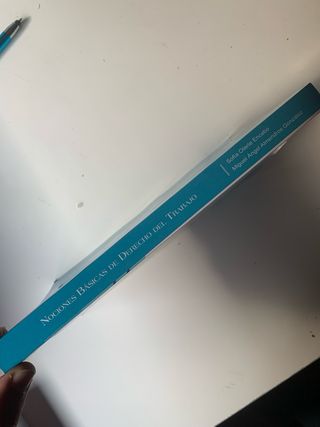 Manual Derecho Del Trabajo