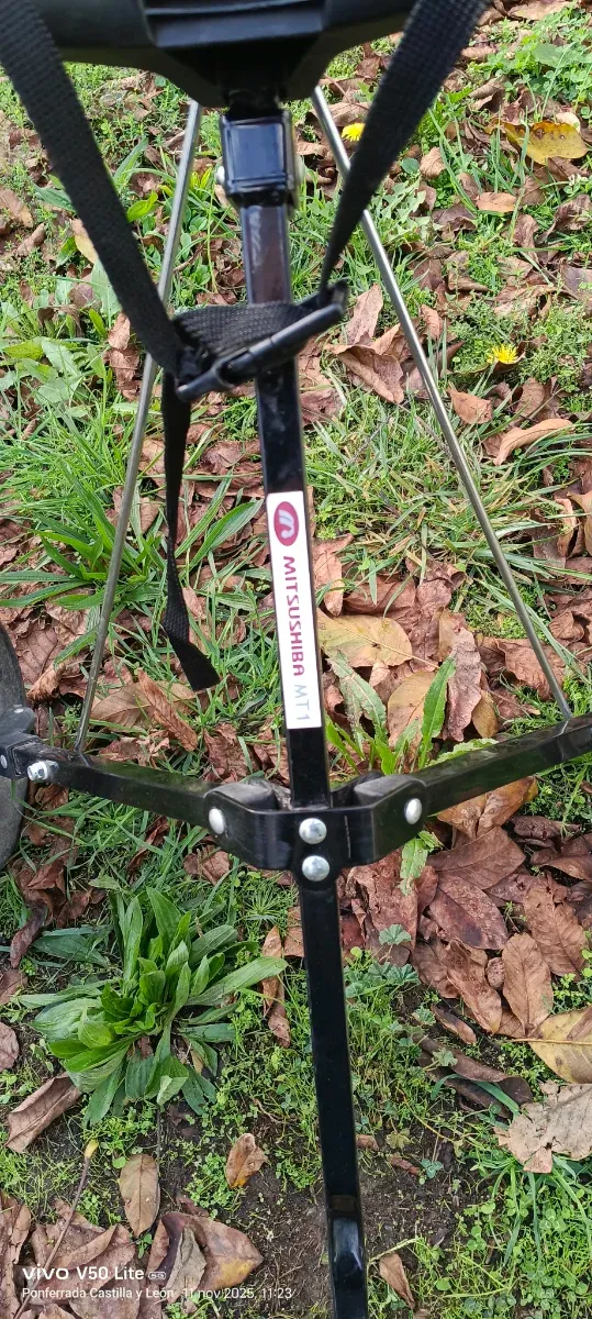 Carrito de golf Mitsushiba