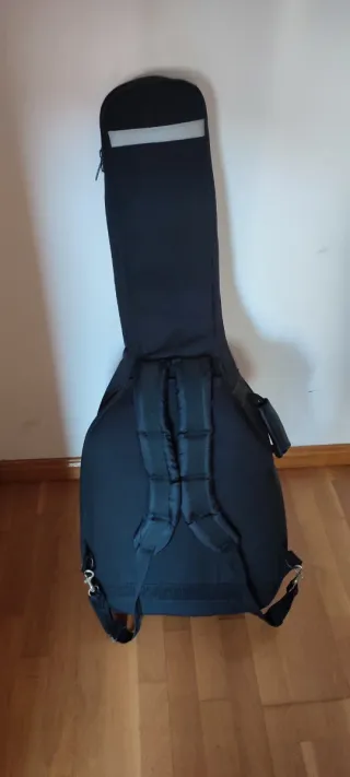 Guitarra Electroacústica Ortega