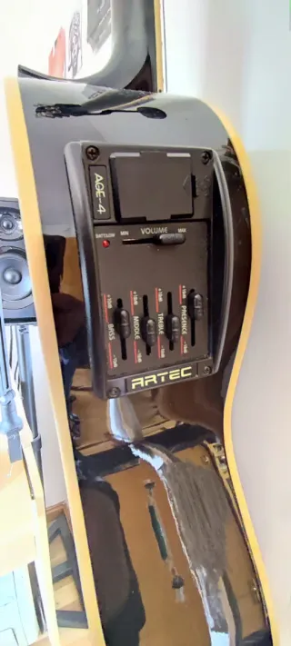 Guitarra Electroacústica Ortega