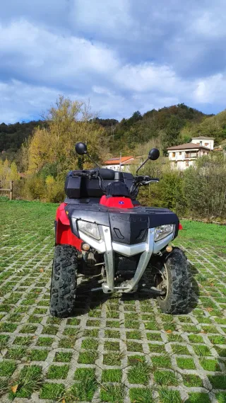 Quad Polaris Hawkeye 300