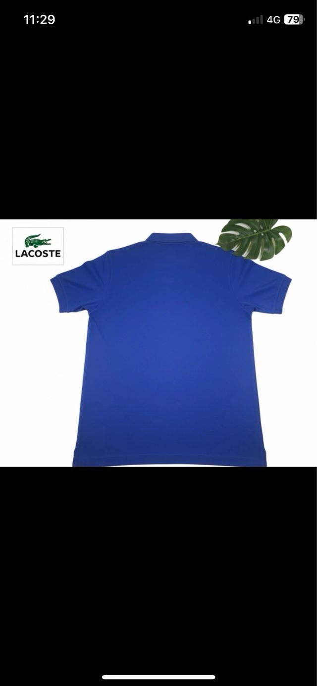 Polo Lacoste Classico Blu
