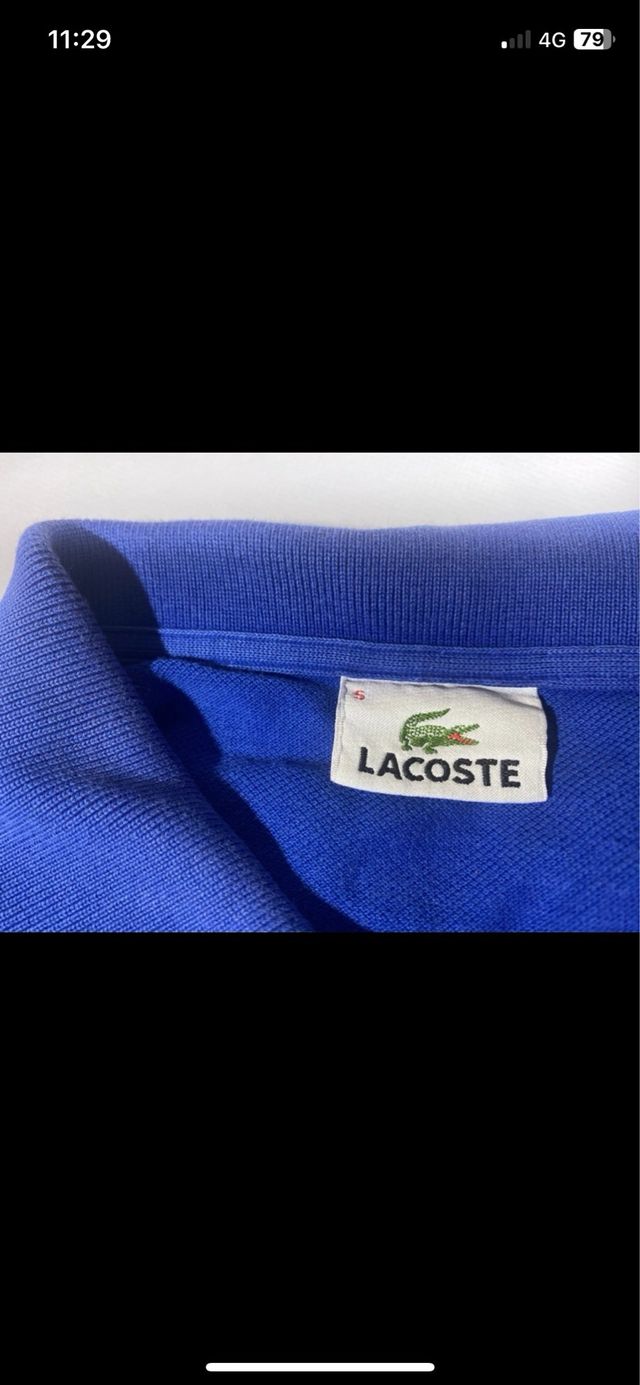 Polo Lacoste Classico Blu