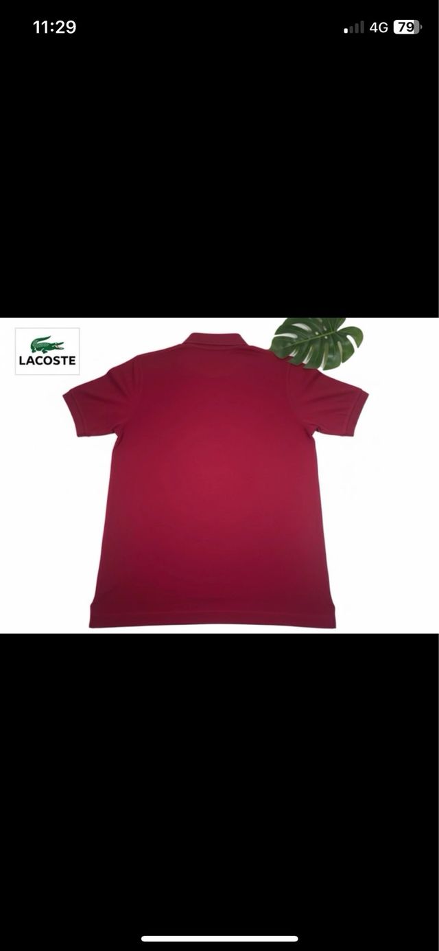 Polo Lacoste Classico Rosso/Bordeaux