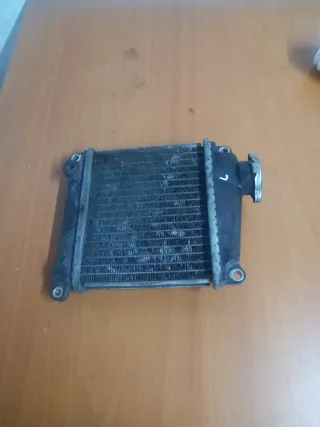 Radiador Honda Lead 110