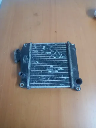 Radiador Honda Lead 110