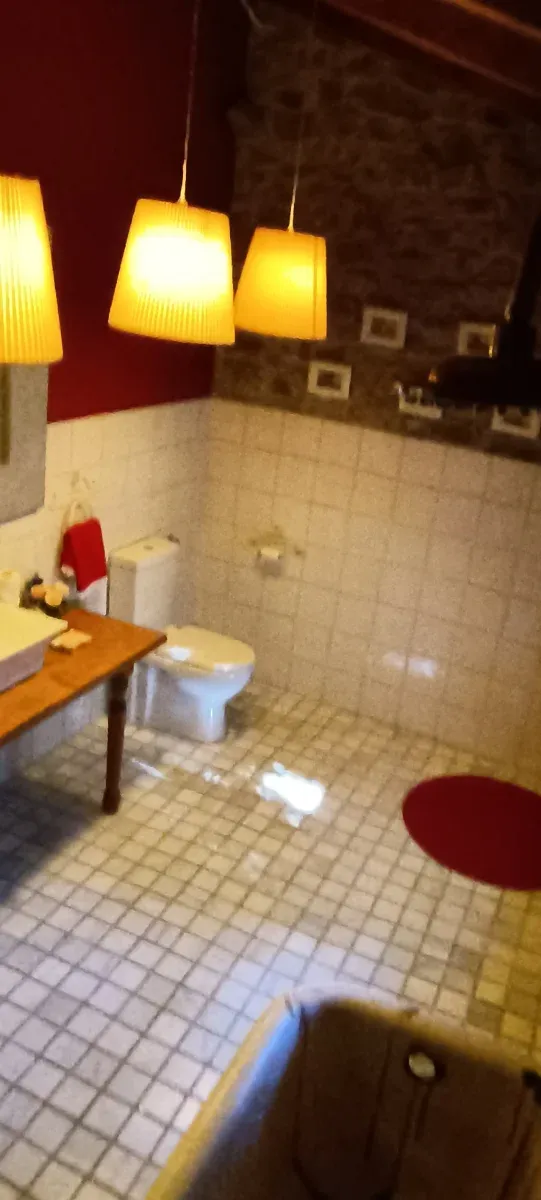 Cabaña de piedra con jardín