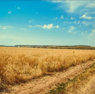 Terreno en venta de 1.800 metros. Huércal overa